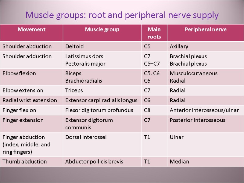 Muscle groups: root and peripheral nerve supply